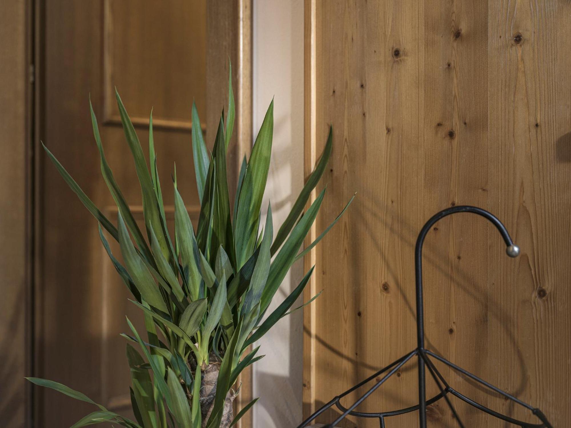 Appartement Geisler Финкенберг Екстериор снимка